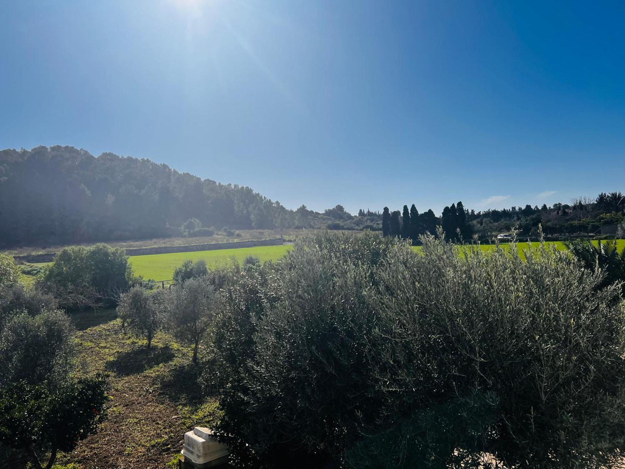 Es Puig Holiday home