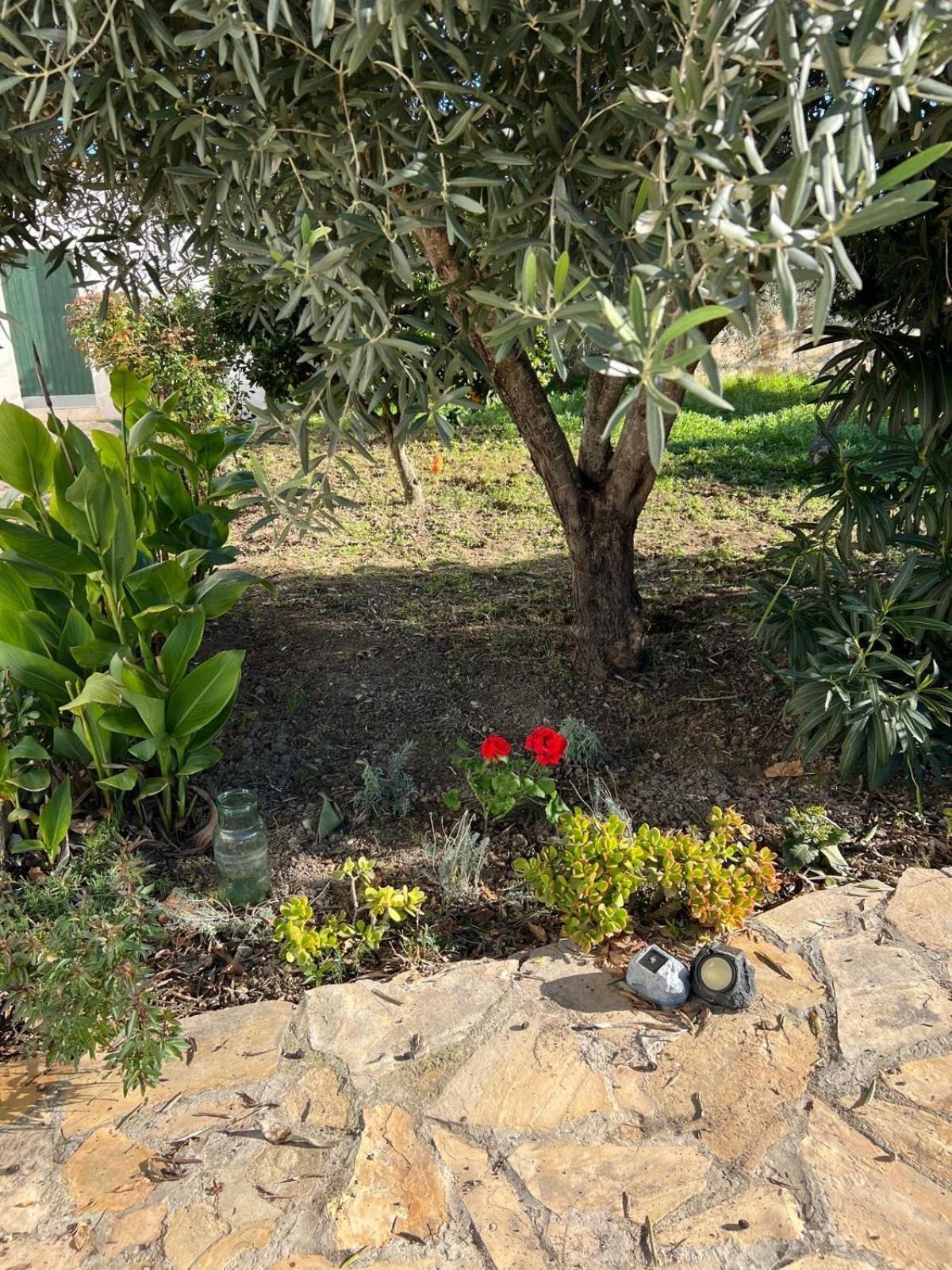Es Puig Holiday home *