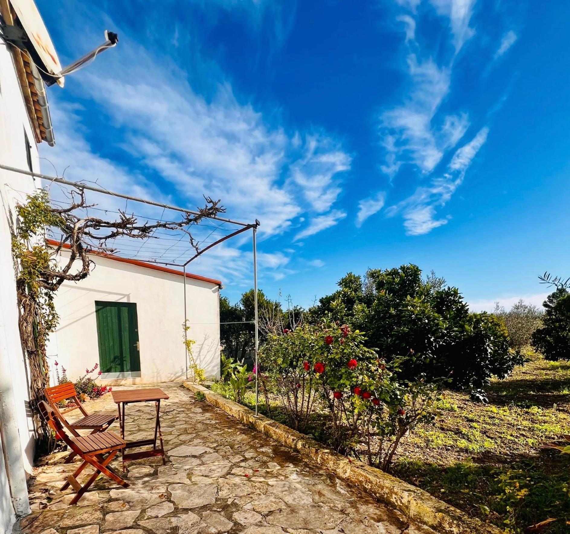 Es Puig Holiday home