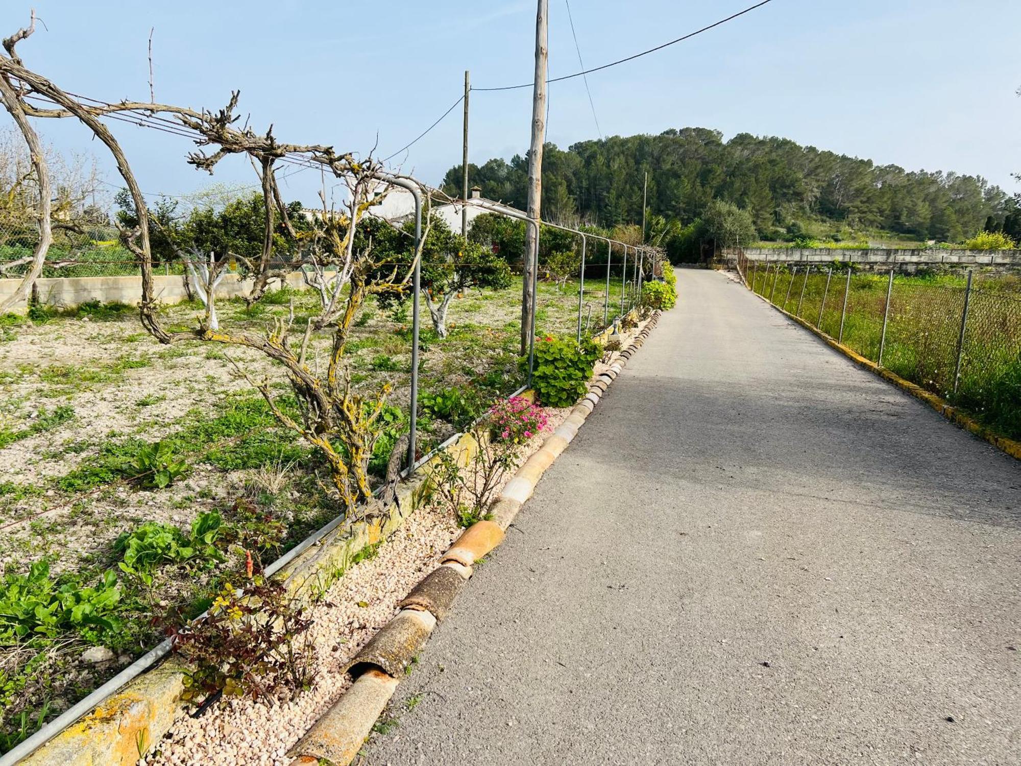 Es Puig Holiday home Santa Margalida